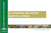 "La biomasa del sector agrario andaluz", por Mar Cátedra, Dirección General de Producción Agrícola y Ganadera. Consejería de Agrícultura, Pesca y Desarrollo Rural.