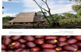 Tomo11 2 Alimentación y Culturas en el Amazonas