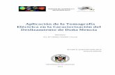 Aplicación de la Tomografía Eléctrica en la Caracterización del ...
