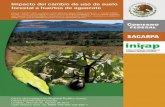 Cambio de uso de suelo forestal Impacto del cambio de uso de ...