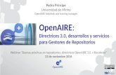 OpenAIRE: Directrices 3.0, desarrollos y servicios para Gestores de Repositorios