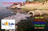 Contaminació de l’aigua dolça 1r ESO lS MANLLEU 2016