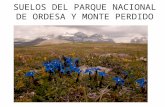 suelos del parque nacional de ordesa y monte(sonido)