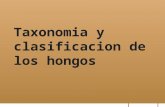 Clase 5 taxonomia y  clasificacion de los hongos 2015