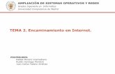 Tema 2  protocolos de encaminamiento en internet