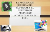 La proteccion juridica del software