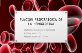 Función Respiratoria de la hemoglobina