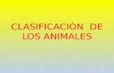 Clasificación  de los animales diapositivas