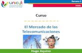 UNICyT - Mercado de las Telecomunicaciones - Clase 2