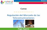UNICyT - Regulacion de las Telecomunicaciones - Clase 2