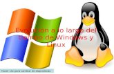 Evolución a lo largo del tiempo de Windows y Linux
