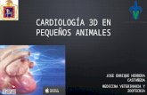 Cardiología 3 d en pequeños animales