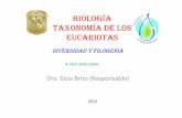 Taxonomía de los eucariotas diversidad y filogenia filo anellidos