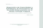 Diagnóstico de Capacidades y Estrategias de Proveedores de ...