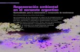 Regeneración ambiental en el noroeste argentino