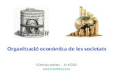 Organització econòmica de les societats
