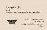 4. Carlos Cañas. Patogénesis del lupus