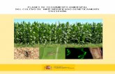 Planes de seguimiento ambiental del cultivo de maíz modificado