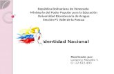 Identidad Nacional Venezolana