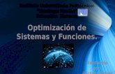 Optimización de Sistemas y Funciones