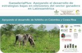 GanaderíaPlus: Apoyando el desarrollo de estrategias bajas en emisiones del sector ganadero en Latinoamérica