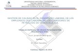GESTION DE CALIDAD EN EL DESEMPEÑO LABORAL DE LOS EMPLEADOS QUE LABORAN EN LOS COMEDORES DE PETROLEOS DE VENEZUELA, S.A.