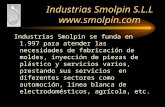 Presentacion smolpin 2013