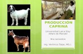Producción caprina en el Ecuador y el mundo