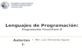 Lenguajes de programación: Programación Visual Parte 2