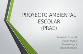 Proyecto Ambiental Escolar I.E. Cárdenas Centro