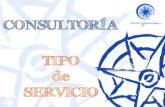 Consultoría  - Tipo de Servicio