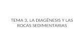 Tema 2. la diagénesis y las rocas sedimentarias