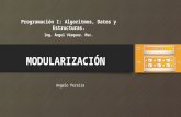 Programación 1: modularización