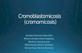 Cromoblastomicosis mod 1