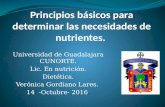 Principios básicos para determinar las necesidades de nutrientes