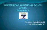 División abdominal en cuadrantes y Anatomía del Peritoneo