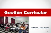 La gestion curricular en las instituciones educativas ccesa007