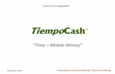 TiempoCash Exec Summary-America Movil