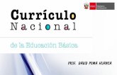Currículo nacional 2017 Perú - Matemática