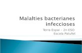 Malalties bacterianes infeccioses