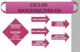 Exposicion de los ciclos biogeoquimicos