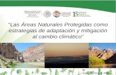 Las áreas naturales protegidas como estrategias de adaptación y mitigación al cambio climático - M. en C. Fernando Camacho Rico