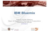 Cloud Computing. Virtualización. IBM Bluemix