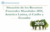 Los recursos forestales mundial, america latina y ecuador