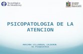 PSICOPATOLOGIA DE LA ATENCION