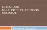 COEM 3001 MULTI INTER PLURI TRANS