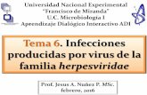 Tema6 herpesvirus