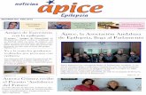 Ya está aquí la cuarta edición de la Revista Ápice Epilepsia, con las ...