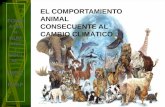 El comportamiento animal consecuente al cambio climático aaa