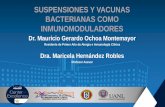 Suspensiones y vacunas bacterianas como inmunomoduladores